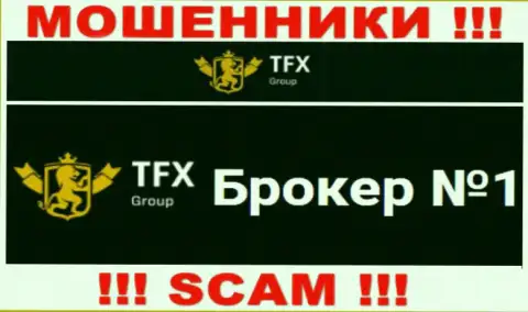 Не стоит доверять финансовые активы TFX-Group Com, ведь их область работы, ФОРЕКС, ловушка