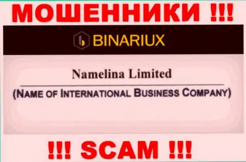 Binariux Net - это internet-ворюги, а владеет ими Namelina Limited