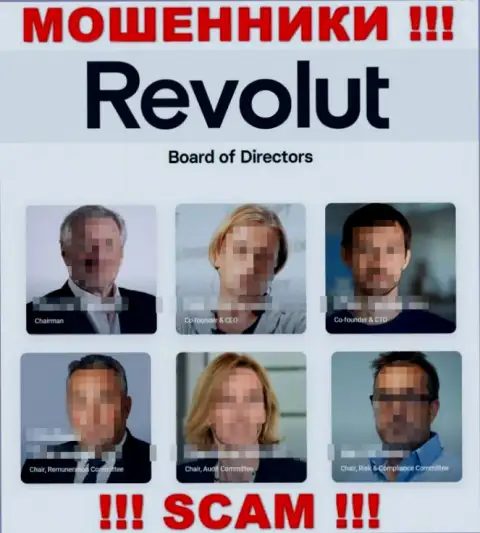 НЕ СПЕШИТЕ работать с интернет мошенниками Revolut - приведенные сведения о руководителях - это ЛИПА