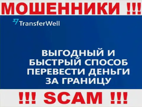 Не стоит верить, что деятельность TransferWell Net в области Система платежей легальна