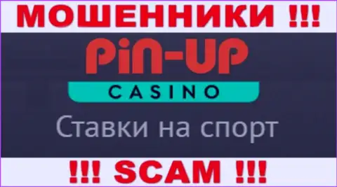 Основная работа Pin-Up Casino - это Casino, будьте крайне внимательны, прокручивают делишки незаконно
