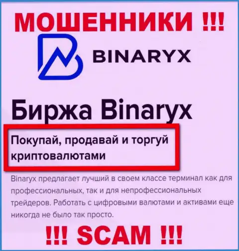 Осторожно !!! Binaryx Com - это однозначно internet мошенники ! Их деятельность противоправна