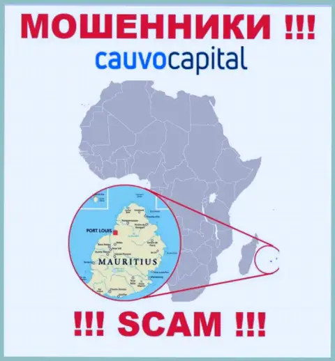 Контора CauvoCapital ворует финансовые активы наивных людей, расположившись в оффшоре - Mauritius