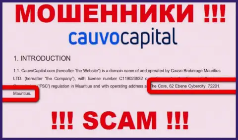 Нереально забрать обратно денежные вложения у CauvoCapital Com - они спрятались в офшоре по адресу: The Core, 62 Ebene Cybercity, 72201, Mauritius