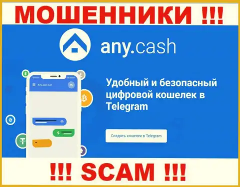 Any Cash - это интернет шулера, их работа - Криптовалютный кошелёк, направлена на грабеж вложенных денег доверчивых клиентов