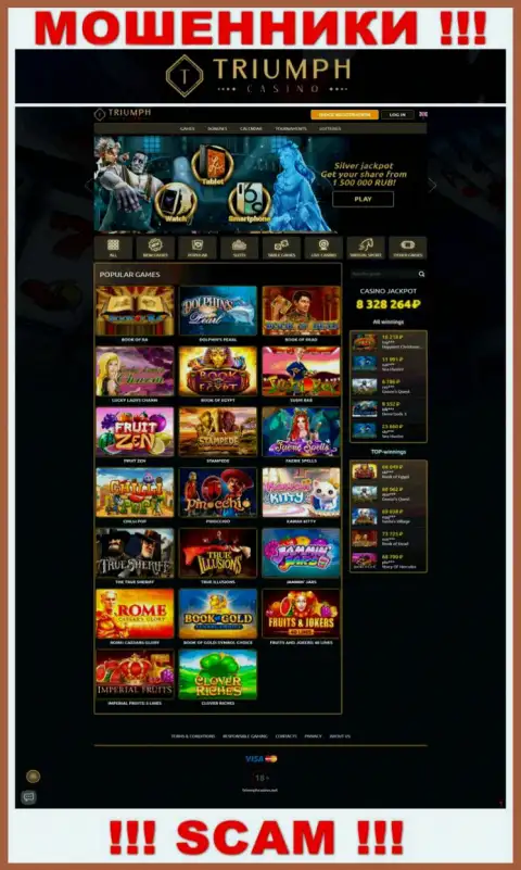 Информация о официальном веб-сайте мошенников Triumph Casino