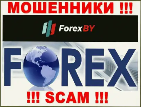 Осторожно, вид деятельности Forex BY, FOREX - это лохотрон !