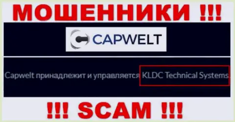 Юридическое лицо компании CapWelt - это КЛДЦ Техникал Системс, информация позаимствована с официального сайта