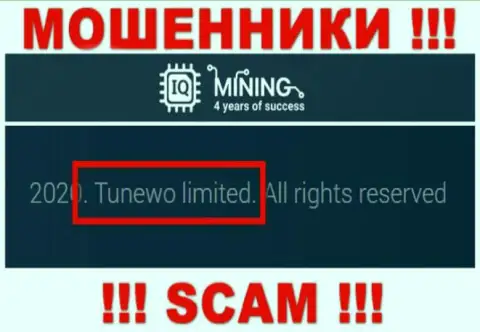 Лохотронщики IQMining Com пишут, что Tunewo Limited руководит их лохотронном