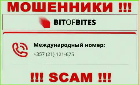 С какого номера телефона будут звонить интернет-мошенники из BitOfBites Com неизвестно, у них их масса