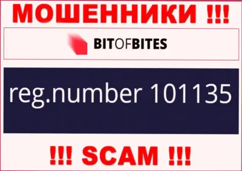 Номер регистрации компании БитОфБитес, который они указали на своем сайте: 101135