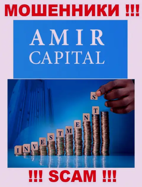 Не отправляйте средства в Amir Capital Group OU, направление деятельности которых - Инвестирование