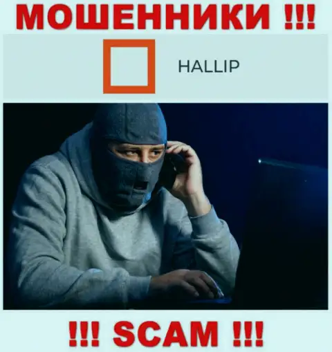 Звонят internet мошенники из компании Hallip, Вы в зоне риска, будьте крайне осторожны