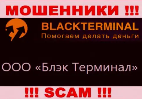 На официальном web-сайте BlackTerminal написано, что юридическое лицо организации - ООО Блэк Терминал