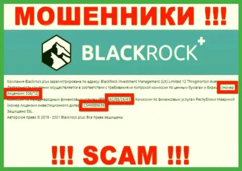 BlackRockPlus прячут свою мошенническую суть, представляя у себя на сайте лицензионный документ