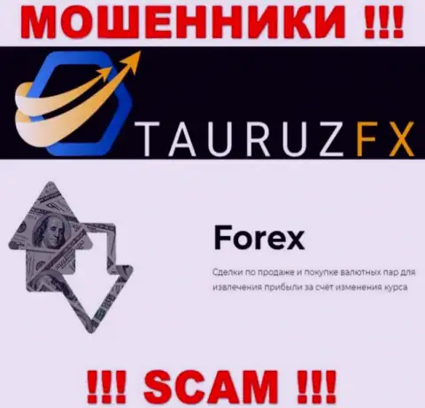 Форекс - это то, чем промышляют internet-обманщики ТаурузФИкс Ком