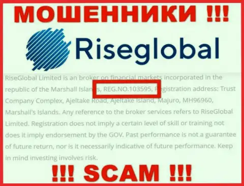 Номер регистрации Rise Global, который мошенники засветили у себя на web-странице: 103595