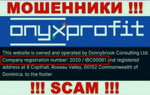 Номер регистрации, который принадлежит организации OnyxProfit Pro - 2020 / IBC00061