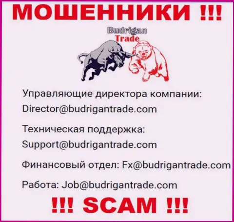 Не отправляйте письмо на электронный адрес BudriganTrade - internet-лохотронщики, которые отжимают финансовые средства людей