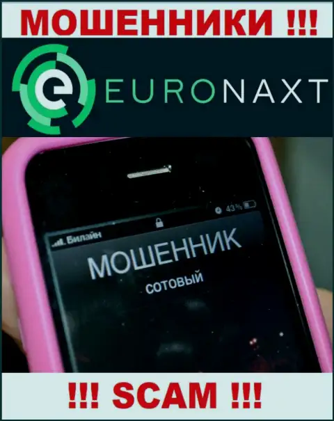 Вас пытаются развести на средства, EuroNax в поисках очередных лохов