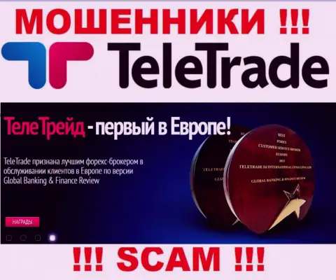 Forex - конкретно в такой сфере орудуют профессиональные internet мошенники TeleTrade