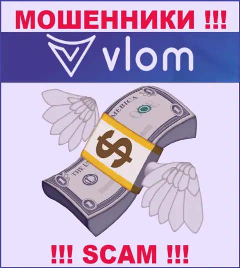 Брокерская организация Vlom работает только на прием вложенных денежных средств, с ними Вы ничего не заработаете