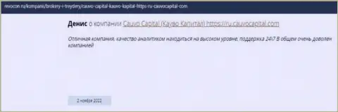 Организация Кауво Капитал описана в комментарии на web-портале Revocon Ru