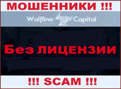 Невозможно отыскать инфу о лицензии на осуществление деятельности internet-махинаторов Wolfline Capital - ее попросту нет !!!
