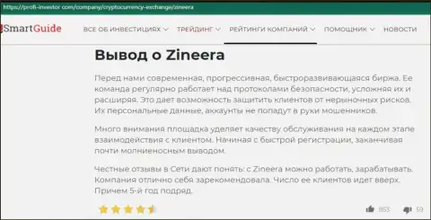 Заключение в статье об условиях совершения сделок дилингового центра Zinnera, предоставленной на веб-портале profi investor com